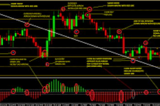 code strategy on tradingview, ninjatrader 8, quantower, ctrader, metatrader, mt4
