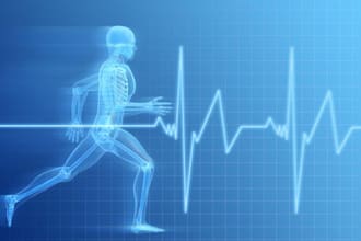 develop a premium health and fitness app, and its website
