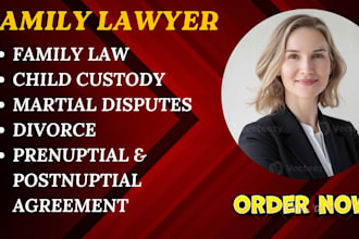 draft family law, marriage, and divorce documents as a US family lawyer