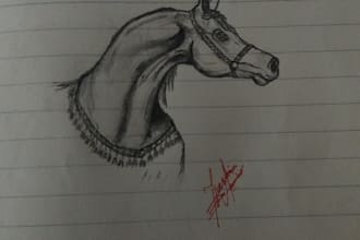 sketch anything you want