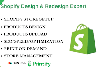 provide shopify store SEO services for higher rankings