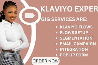 set up klaviyo flows, sales funnel and shopify email marketing fows in klaviyo