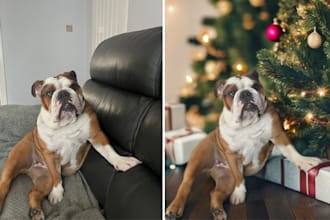 transform your photos into a professional photoshoot