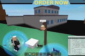script for you on roblox, as a professional scripter