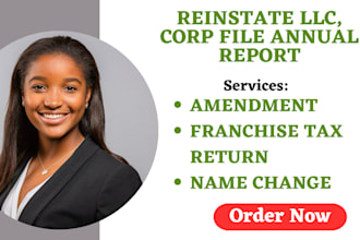 dissolve llc reinstate file annual report US llc corporation registration
