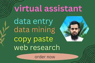 do data entry , web research , email finder, web scraping ,