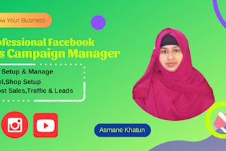 be your professional facebook ads campaign manager