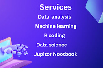 do rstudio, r programming, data science,r shiny and machine learning task