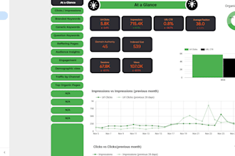 create professional google looker studio dashboards and dynamic reports