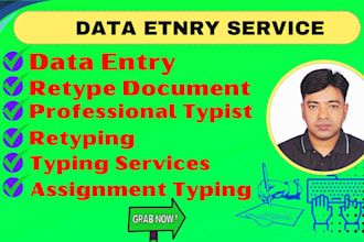 provide data entry, professional typist, assignment typing and typing service