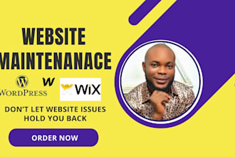 provide website maintenance update and support wordpress website maintenance wix