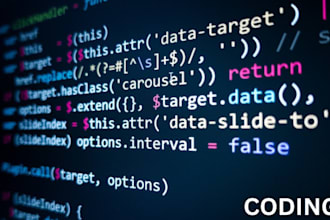 optimize, fix, debug, write, develop website in python java node js css php lua