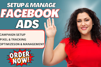 setup facebook meta ads campaign, fb ads instagram ads campaign for leads sales