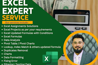 solve microsoft excel assignments, projects and tasks