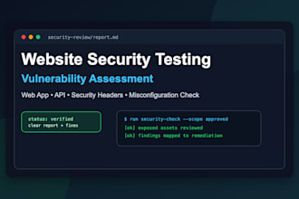 do website security testing and vulnerability assessment
