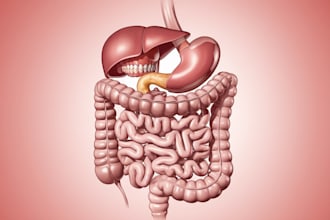 do medical and scientific illustrations