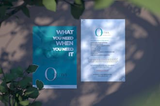 design a professional advertising flyer or poster