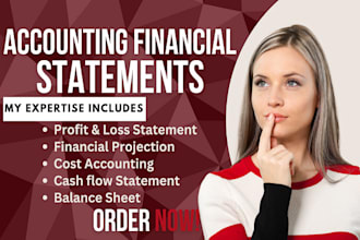 provide US CPA comfort letter, income verification letter, financial statement