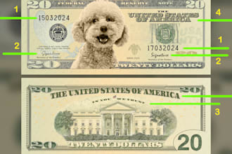 add your image and add custom text on dollar bill