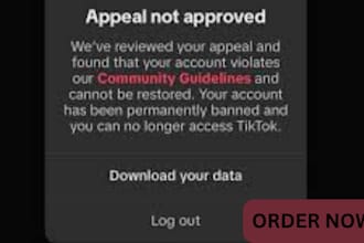 write an appeal for tiktok shop suspension and reinstatement