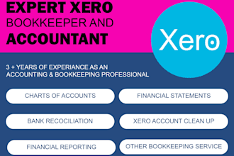 do bookkeeping, cleanup, catchup, and bank reconciliation using xero