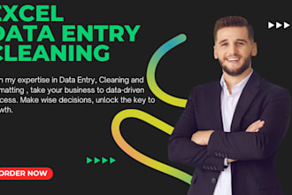 be your virtual assistant for excel data entry, data cleaning, data formatting