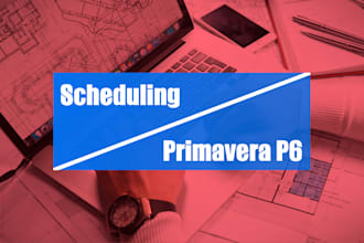 prepare schedule for you using primavera p6 or ms project