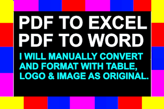 recreate, retype, convert pdf to word ms excel data entry typing, copy paste