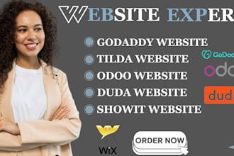 redesign wix website duda showit odoo tilda business website godaddy wordpress