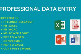 provide accurate data entry, cleanup, and analysis services