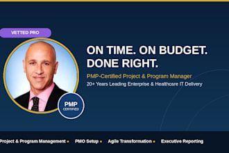 be your pmp program manager for healthcare, insurance, and salesforce projects