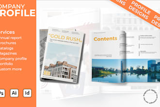 do an amazing company profile, corporate brochure, annual reports
