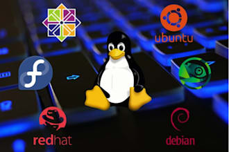 do IT, linux, wireshark traffic analysis and programming projects and tasks