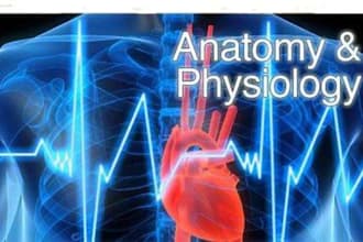 do essays on physiology pathology and anatomy assignments