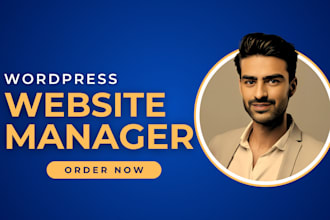 website manager for wordpress maintenance, support, help, changes, updates