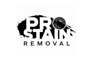 make necessary unique stain removal logo