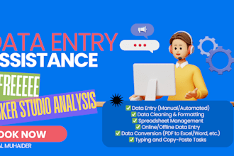 do data entry, copy paste, web research, and excel data entry