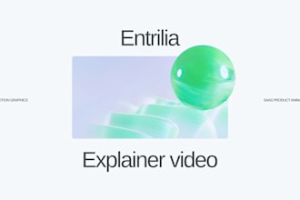 custom saas product demo video, animated 2d explainers, saas website animation