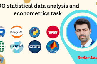 do statistical data analysis, econometrics assignments and project using r stata