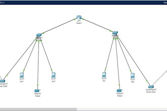 do networking tasks and cisco packet tracer tasks