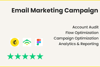 manage klaviyo and mailchimp email marketing campaign