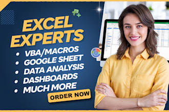 custom excel spreadsheet, excel formula, excel assignment, google sheets expert