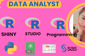 do data analysis, rstudio, r shiny, coding and r programming