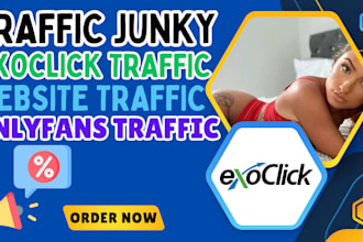 set up and manage your traffic junky and exoclick campaign to boost sales