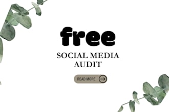 free audit youtube audit and rank your channel and videos SEO for free
