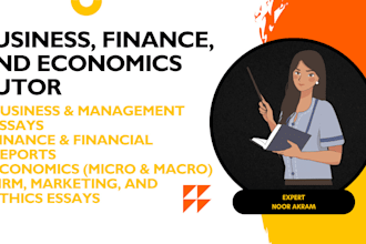 write business, finance, and economics essays reports