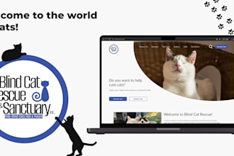 create the best websits anime games marketing sellary