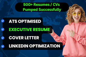 write your executive, vp, svp, director or senior role resume package