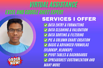 do data entry, formatting, validation, and report with chart