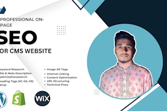 onpage SEO technical optimization on wordpress, wix, shopify